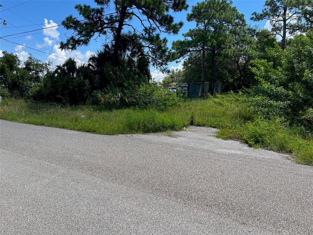 18904 Craig Loop Hudson, FL 34667 - Photo 3 of 8 a view of a yard with potted plants and large trees