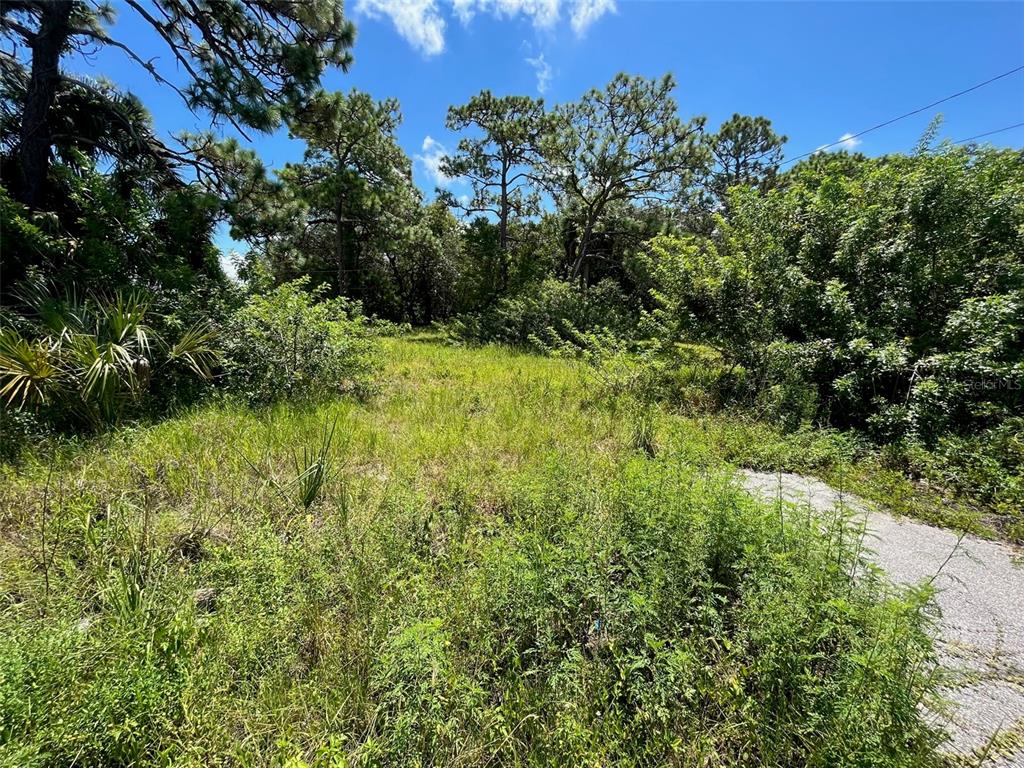 18904 Craig Loop Hudson, FL 34667 - Photo 7 of 8