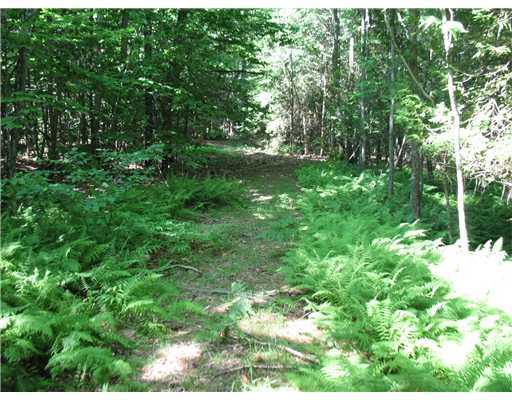 1417 Bangor Road Ellsworth, ME 04605 - Photo 19 of 20 Land/Lot. one of many trails