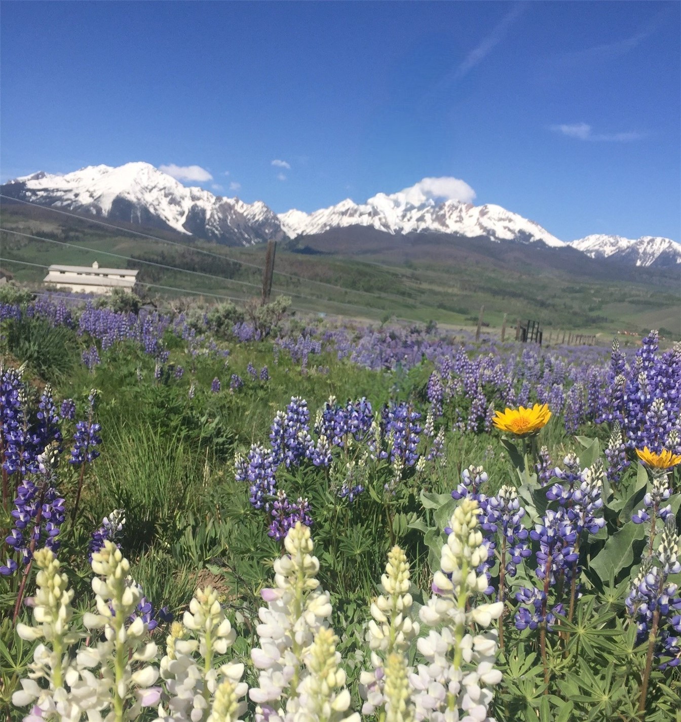 1703 Elk Run Road Silverthorne, CO 80498 - Photo 41 of 46
