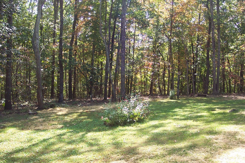 400 Branham Hollow Road Ten Mile, TN 37880 - Photo 18 of 29
