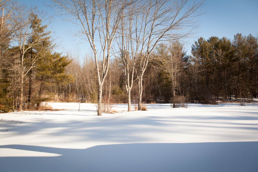 1466 State Road Eliot, ME 03903 - Photo 32 of 37