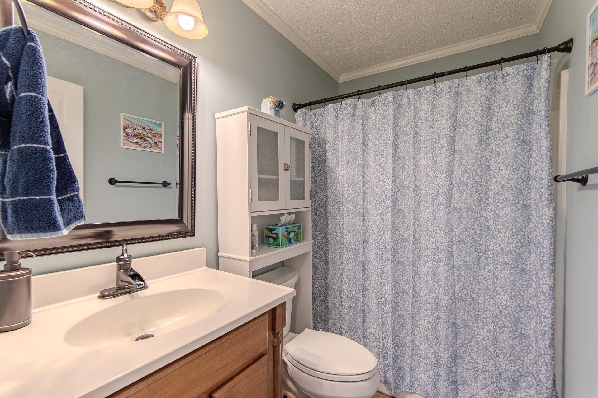 145 Tom Way Savannah, TN 38372 - Photo 17 of 40 a bathroom with a sink a toilet a mirror and shower curtain