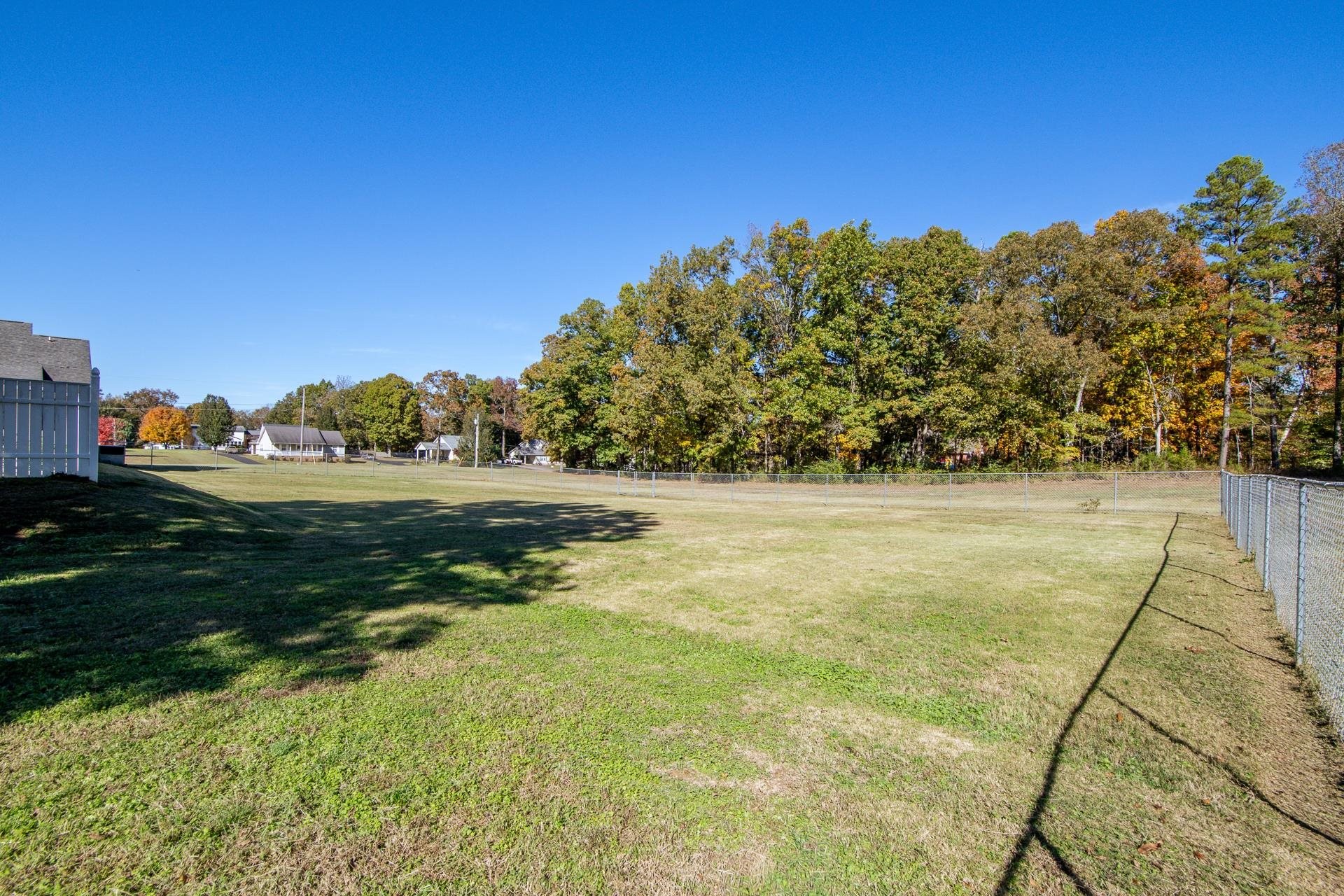 145 Tom Way Savannah, TN 38372 - Photo 35 of 40 a view of yard with swimming pool and green space
