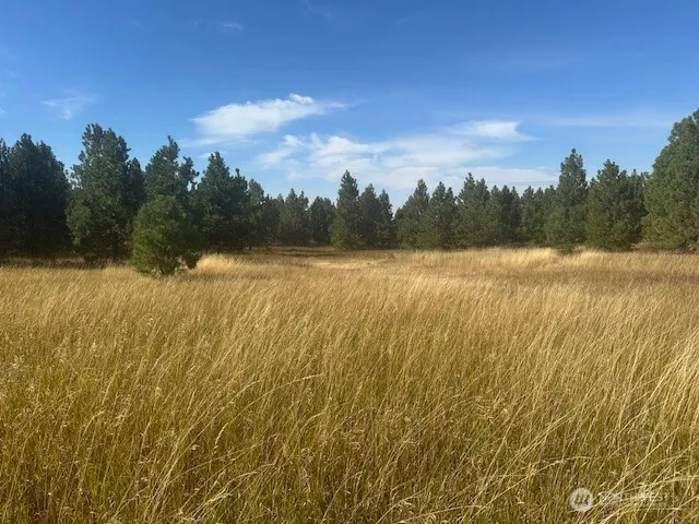 $200,000 | 0 Malcolm Grade Road, Dayton, WA 99328