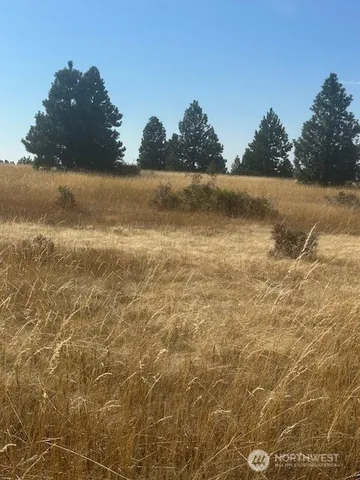 $200,000 | 0 Malcolm Grade Road, Dayton, WA 99328