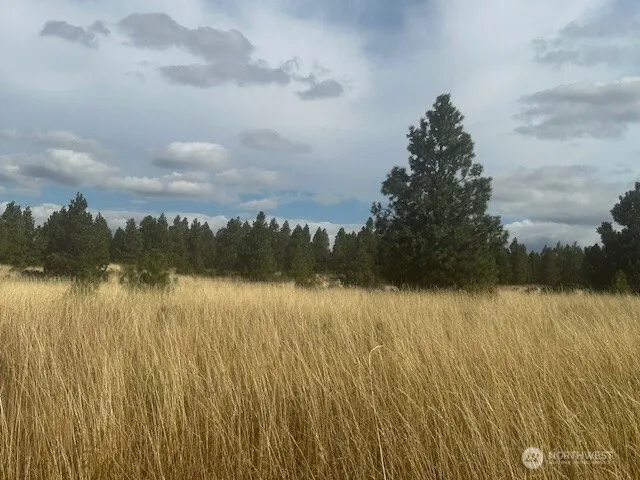 $200,000 | 0 Malcolm Grade Road, Dayton, WA 99328