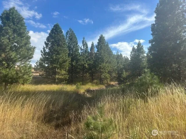 $200,000 | 0 Malcolm Grade Road, Dayton, WA 99328