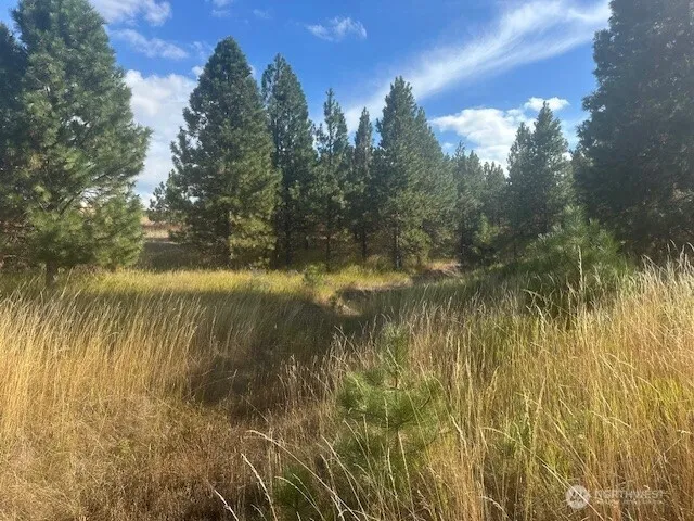 $200,000 | 0 Malcolm Grade Road, Dayton, WA 99328