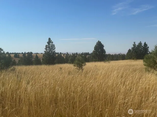 $200,000 | 0 Malcolm Grade Road, Dayton, WA 99328