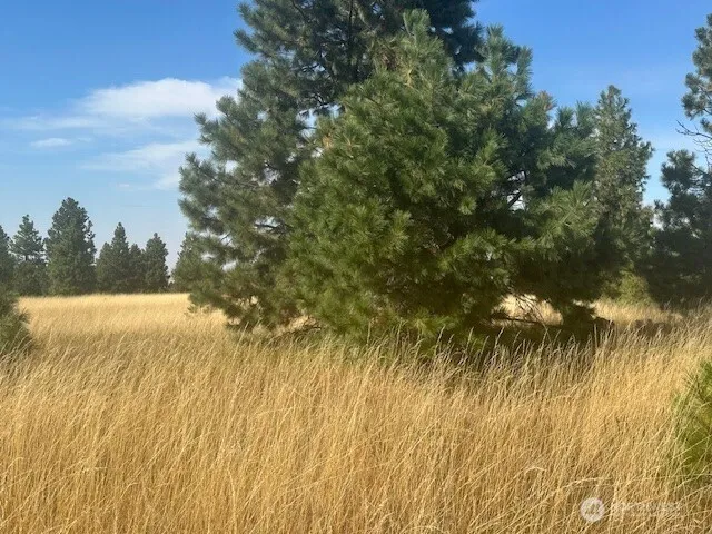 $200,000 | 0 Malcolm Grade Road, Dayton, WA 99328