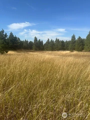 $200,000 | 0 Malcolm Grade Road, Dayton, WA 99328