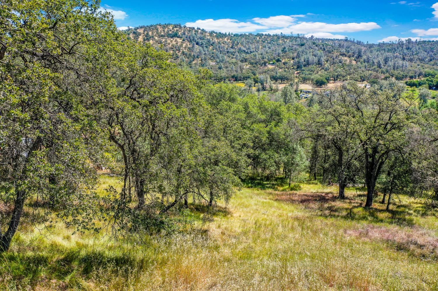 29 Township Road Browns Valley, CA 95918 - Photo 56 of 62 Gallery Image 56