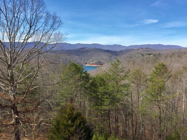 1576 Chestnut Stump Road La Follette, TN 37766 - Photo 19 of 25 20170823124440989857000000-o