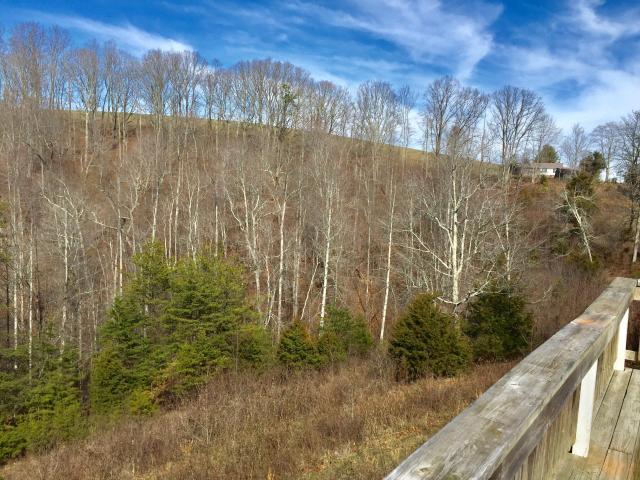 1576 Chestnut Stump Road La Follette, TN 37766 - Photo 20 of 25 20170823124441721439000000-o