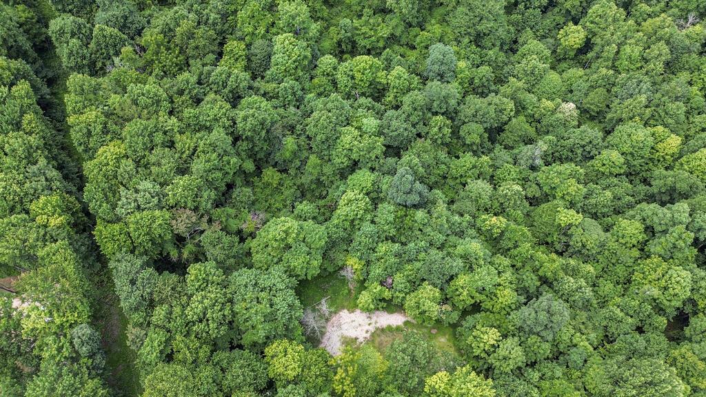 0 Calaway Road, Unit TRACT 5) Coolville, OH 45723 - Photo 22 of 32 DJI_0016