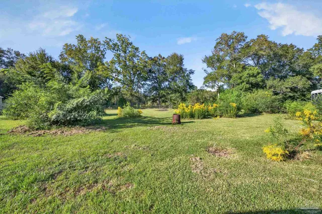 a view of a garden with a building in the background