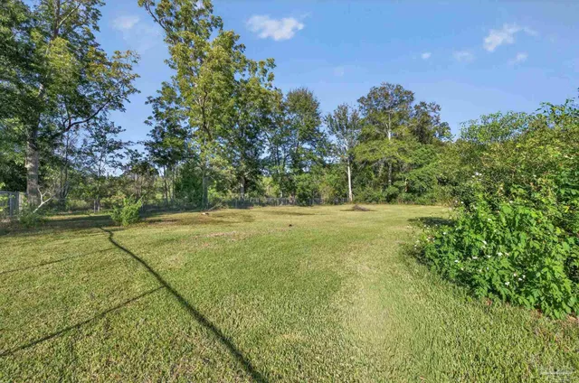 a view of a field with an trees
