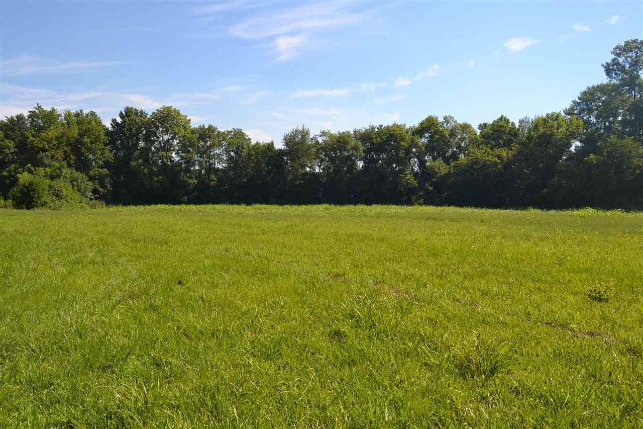 0 Patterson Road Smiths Grove, KY 42171 - Photo 7 of 9 Gallery Image 7
