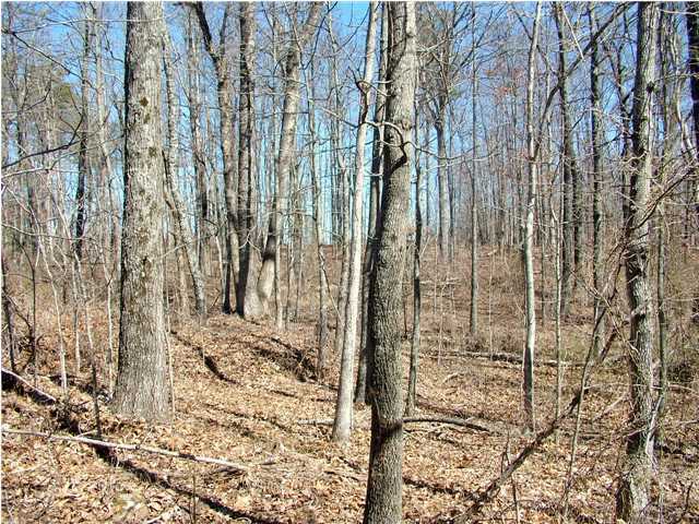 945 Rigsby Road Dayton, TN 37321 - Photo 4 of 20 Additional Photo