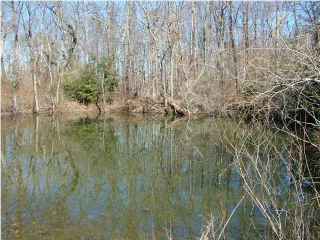 945 Rigsby Road Dayton, TN 37321 - Photo 9 of 20 Additional Photo