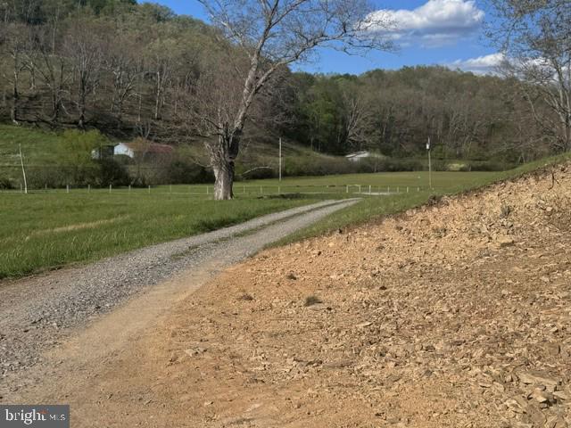 Tbd Shaffers Run Road Mill Creek, WV 26280 - Photo 12 of 43