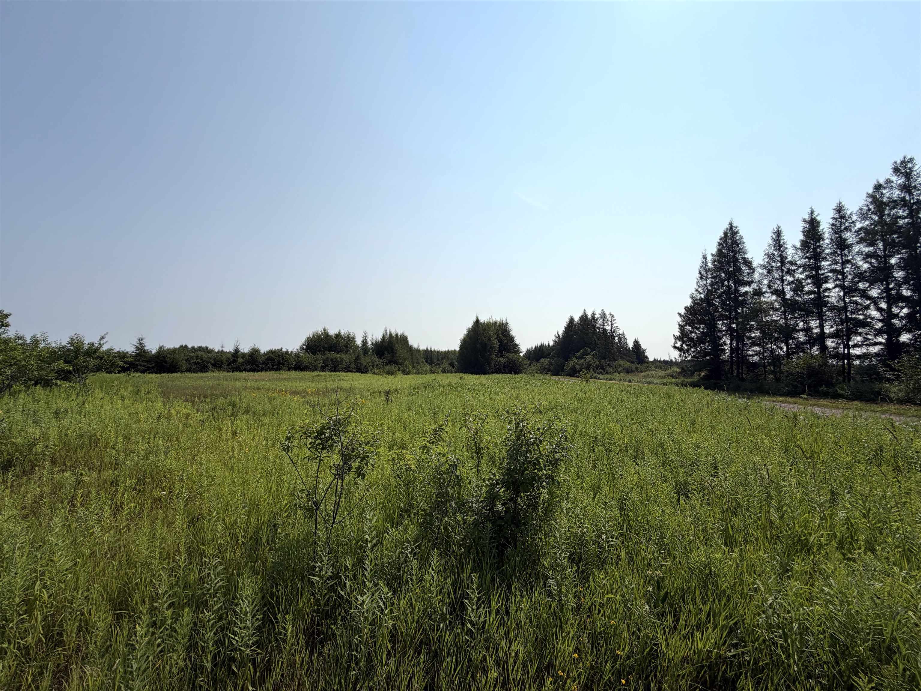22491 Mackenberg Road Glidden, WI 54527 - Photo 1 of 12 Gallery Image 1