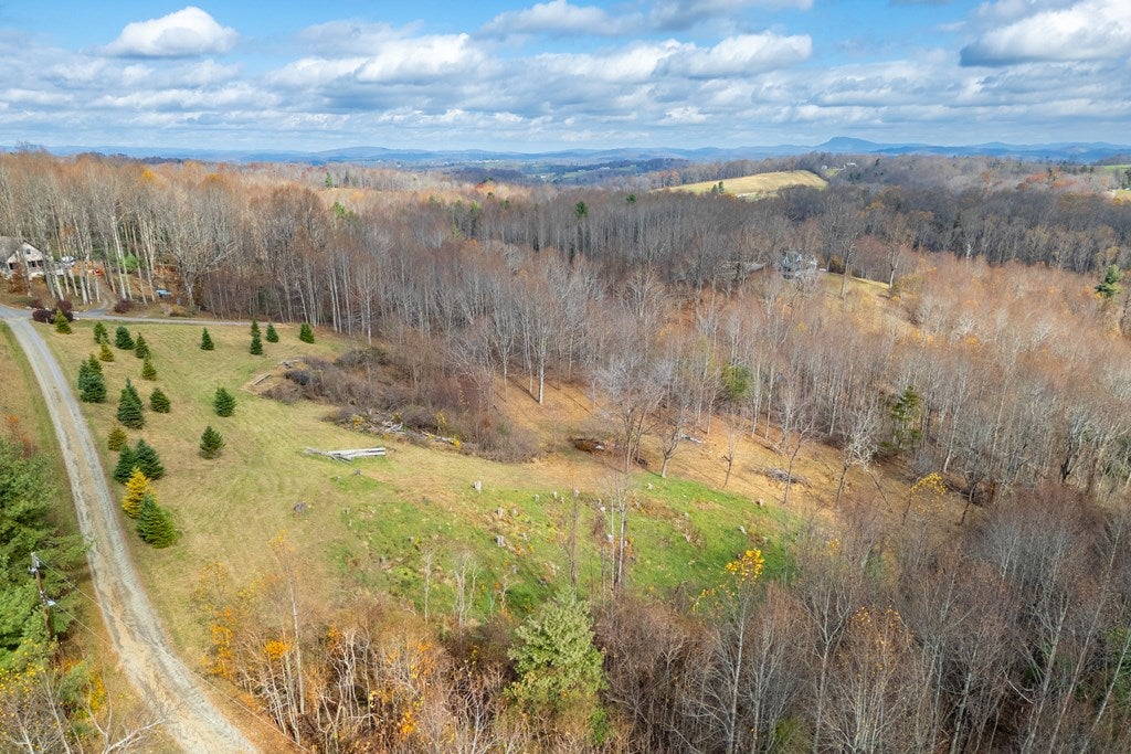 3.8-acre Dogwood Ridge, Unit 2B Fancy Gap, VA 24328 - Photo 27 of 39 Gallery Image 27