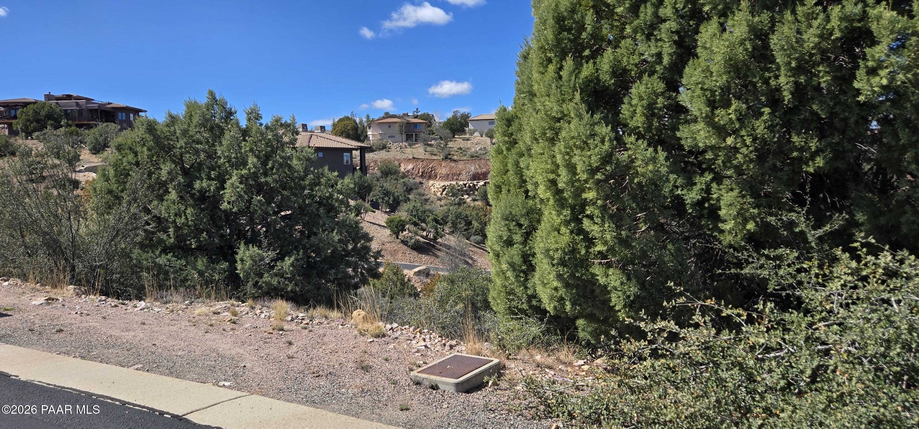 1997 Promontory Prescott, AZ 86305 - Photo 11 of 36 a view of a yard with a tree
