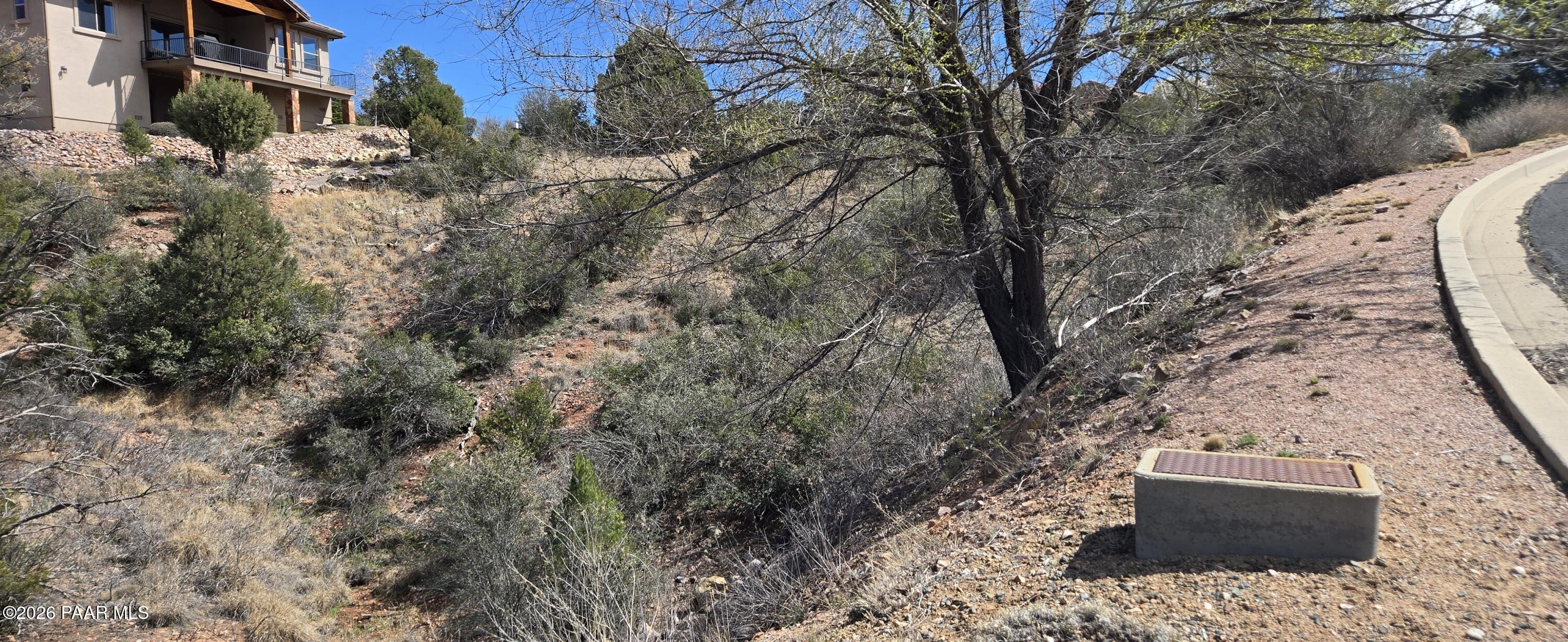1997 Promontory Prescott, AZ 86305 - Photo 8 of 36 a view of a yard with a tree
