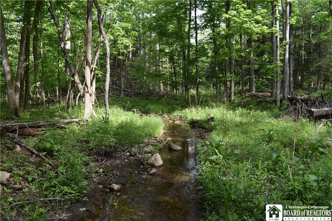 10133 Edward Corners Road Perrysburg, NY 14129 - Photo 8 of 28