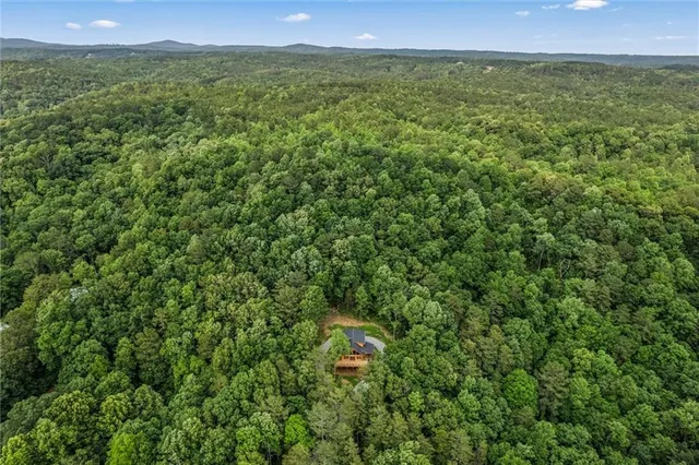 a front view of a house with yard and green space