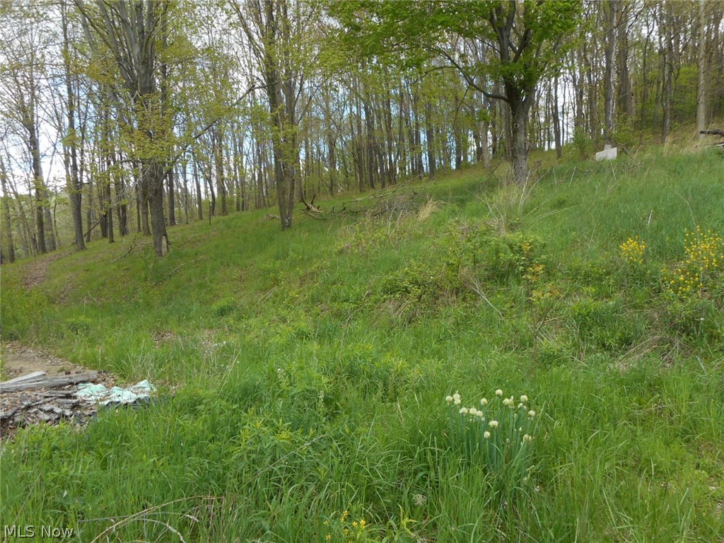 1841-1829 Arner Road Chester, WV 26034 - Photo 8 of 8