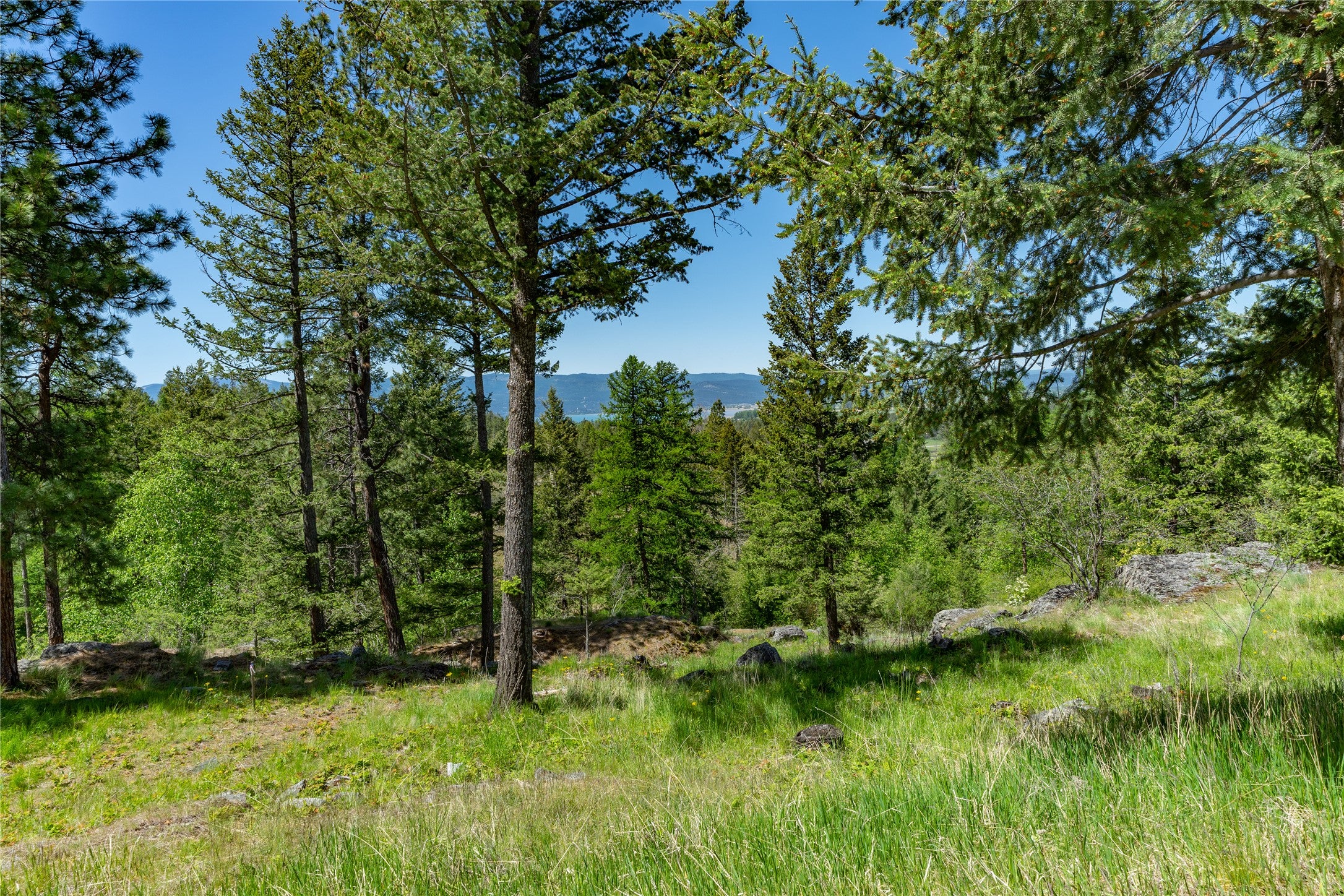 1193 Whispering Rock Road Bigfork, MT 59911 - Photo 47 of 48 Gallery Image 47