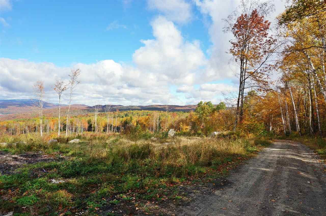 Tug Mountain Road Lunenburg, VT 05906 - Photo 2 of 13