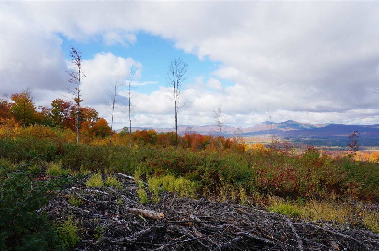 Tug Mountain Road Lunenburg, VT 05906 - Photo 6 of 13