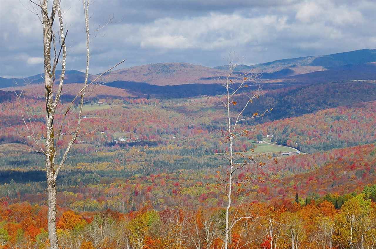 Tug Mountain Road Lunenburg, VT 05906 - Photo 7 of 13