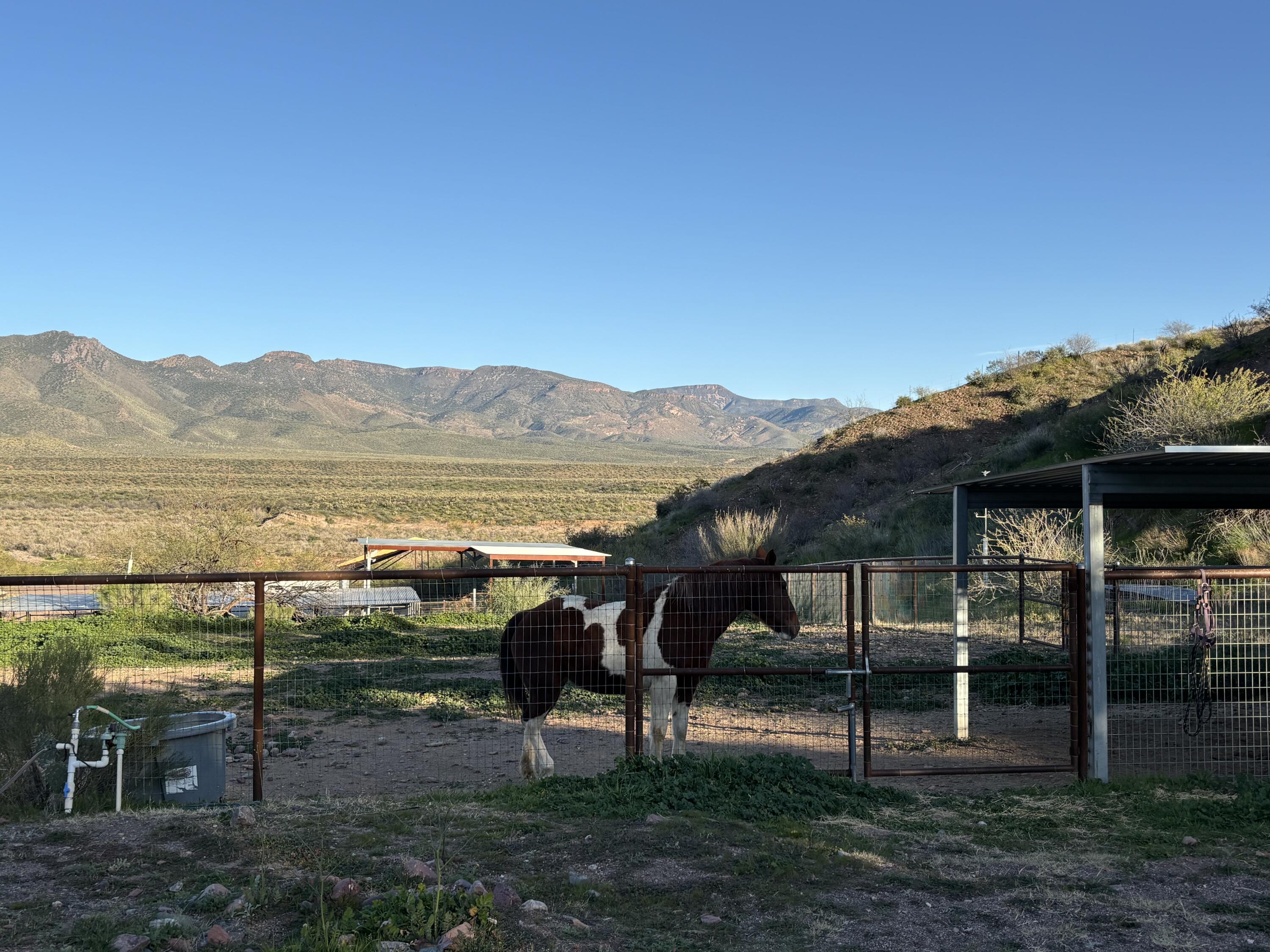 53282 Highway 188 Payson, AZ 85541 - Photo 4 of 66 Views