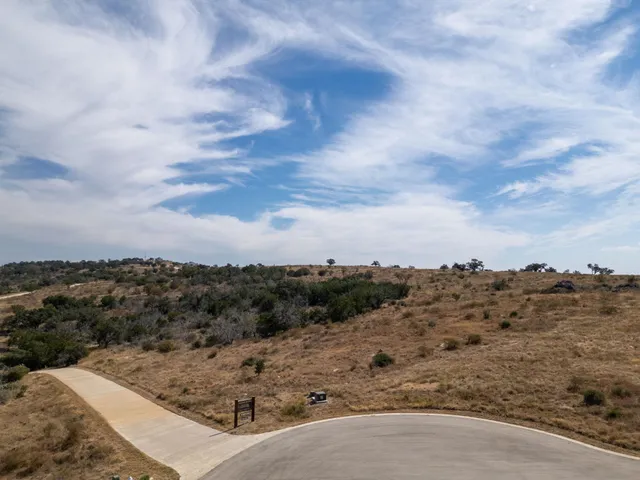 a view of a forest with a forest