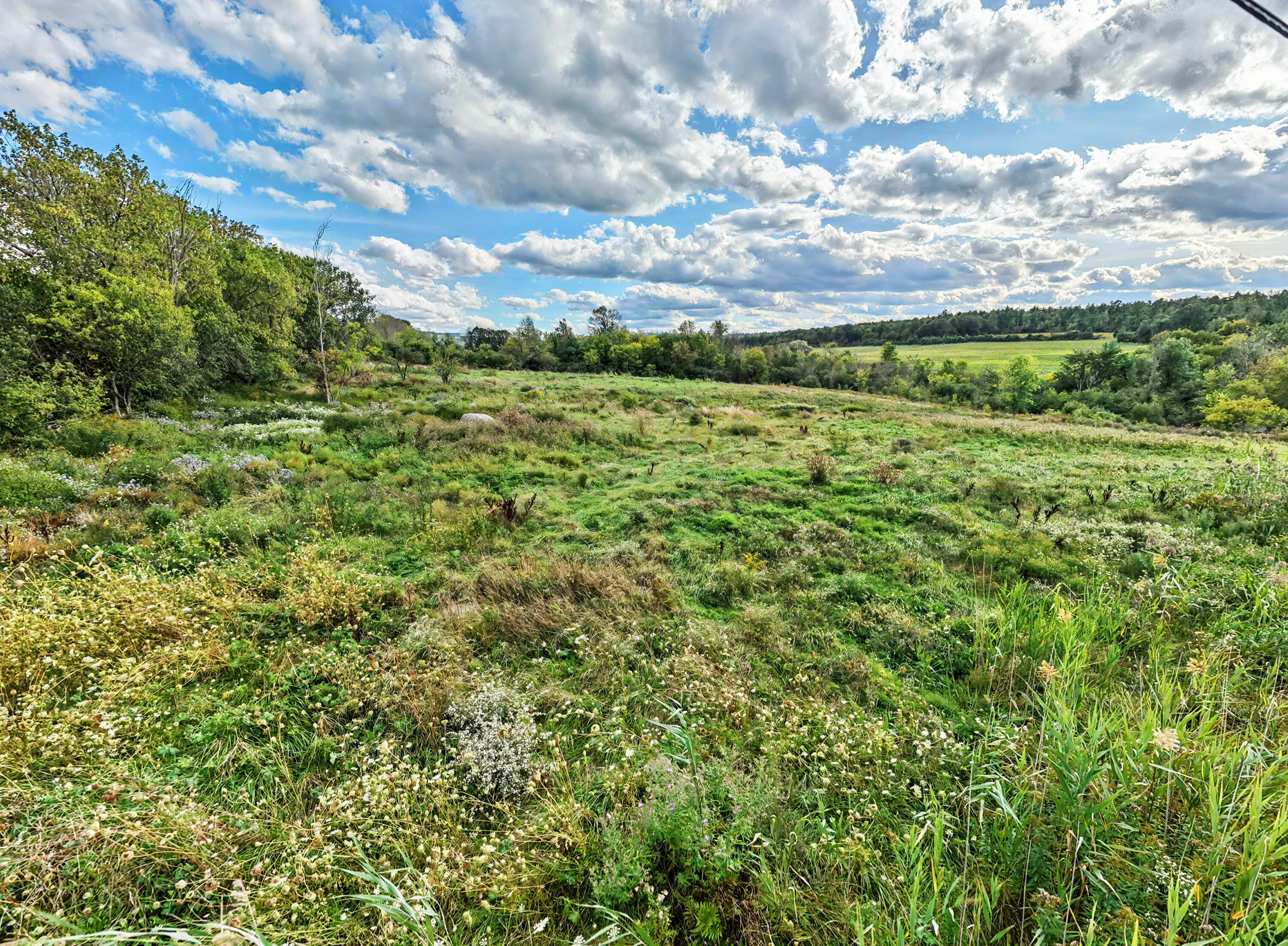 889 River Road Peru, NY 12972 - Photo 46 of 47 Gallery Image 46