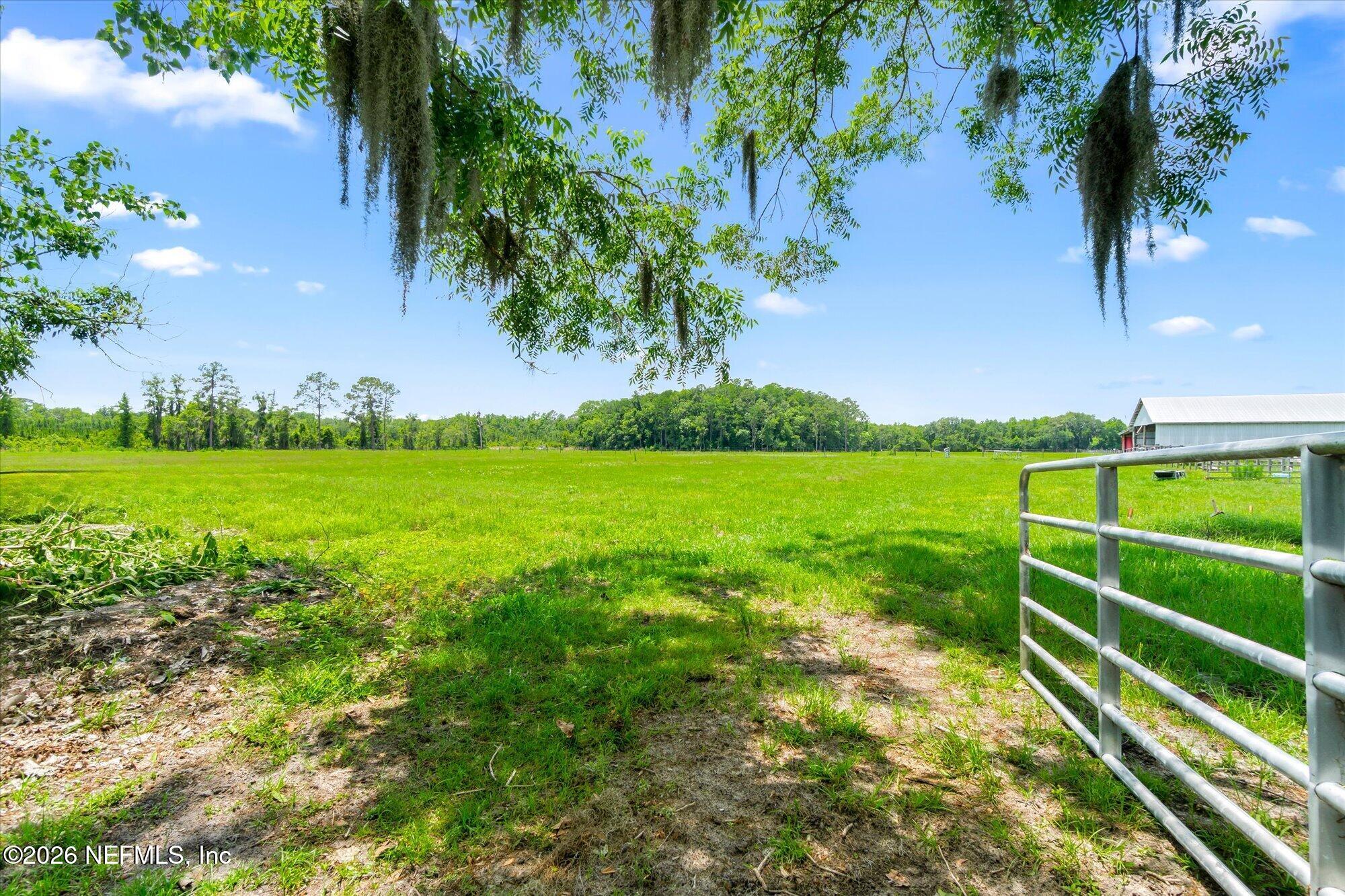 786 West River Road Palatka, FL 32177 - Photo 2 of 53 a view of a field with a tree
