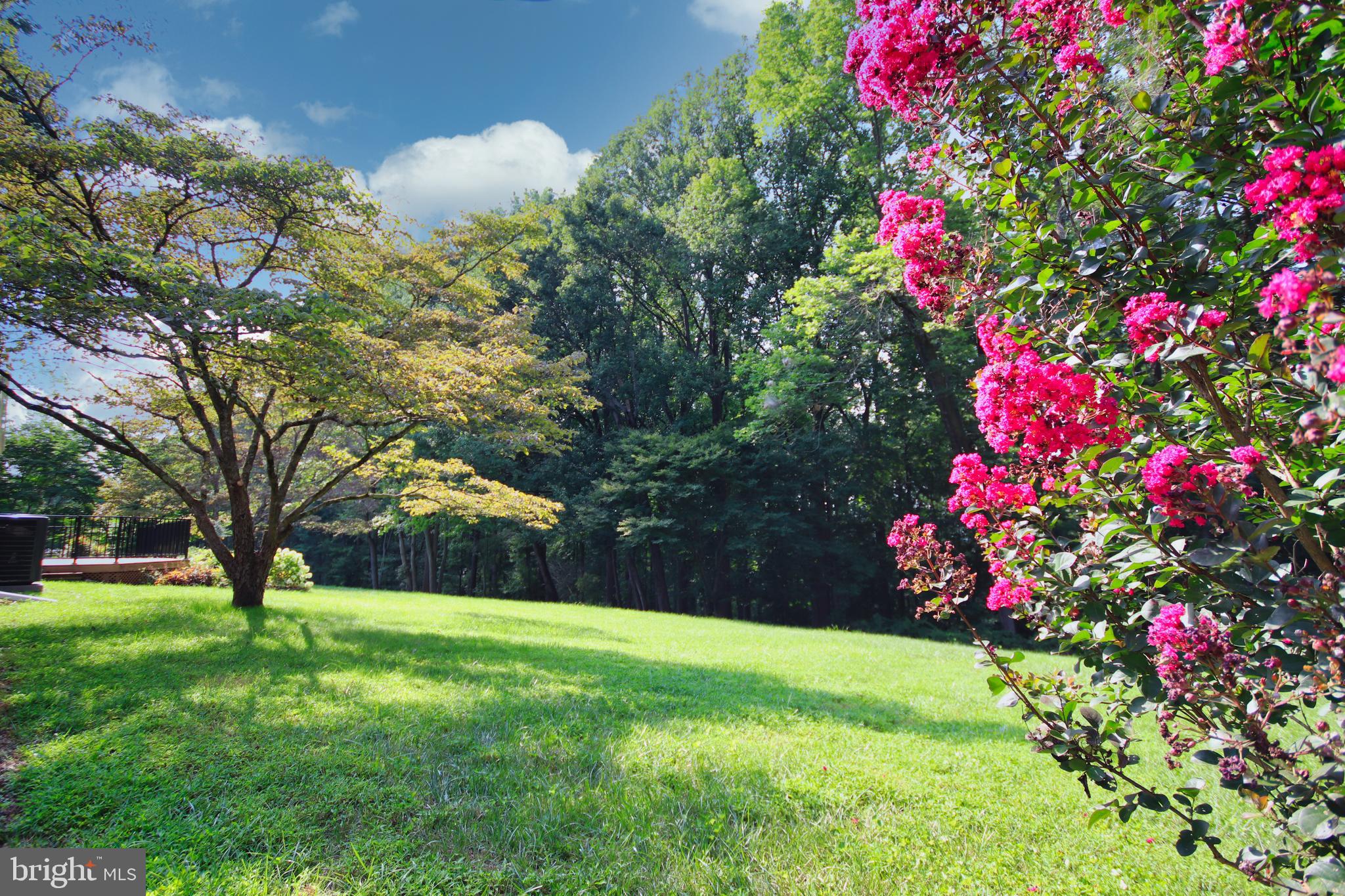 731 Pheasant Run Road West Chester, PA 19382 - Photo 45 of 56