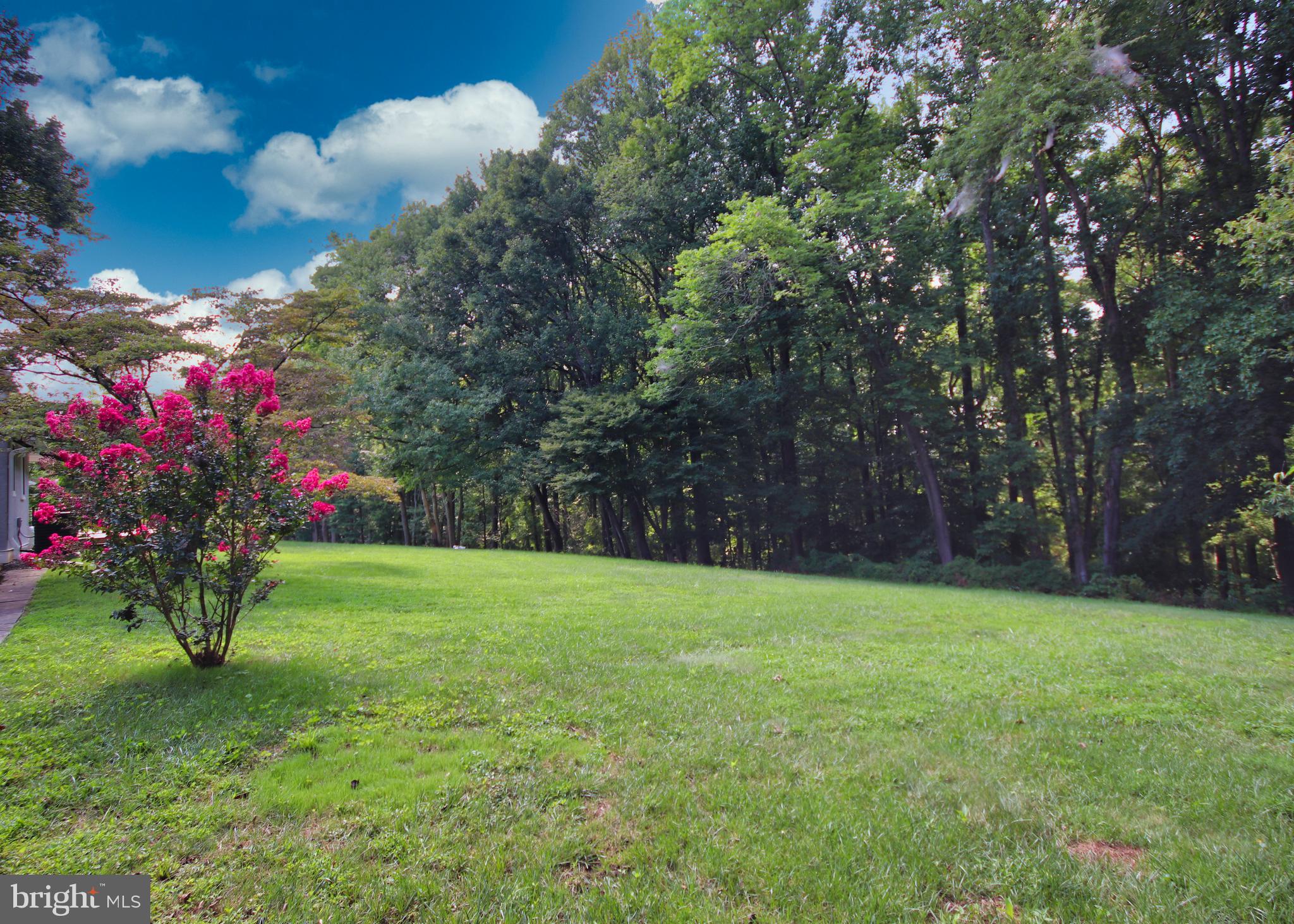 731 Pheasant Run Road West Chester, PA 19382 - Photo 46 of 56