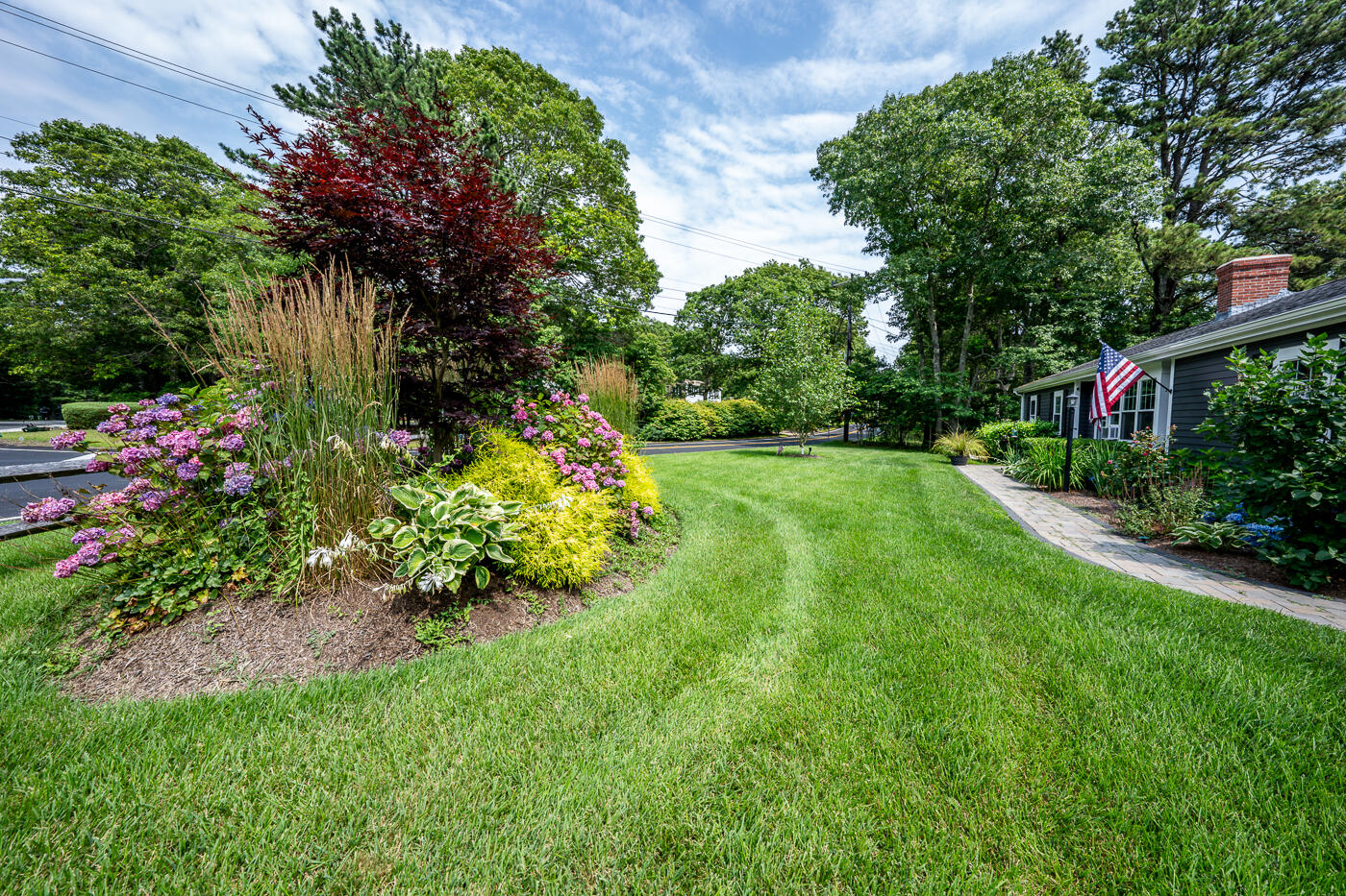 157 Lumbert Mill Road Centerville, MA 02632 - Photo 2 of 42 a view of a garden with plants and large trees