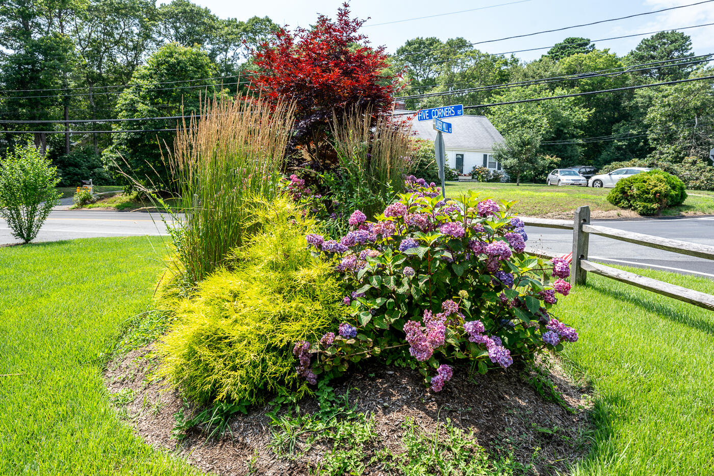 157 Lumbert Mill Road Centerville, MA 02632 - Photo 40 of 42 a view of a garden with flowers