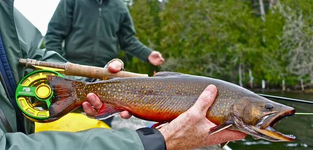 $1,500,000 | 0 Bradford Camps Munsungan Lake, Ashland, ME 04732