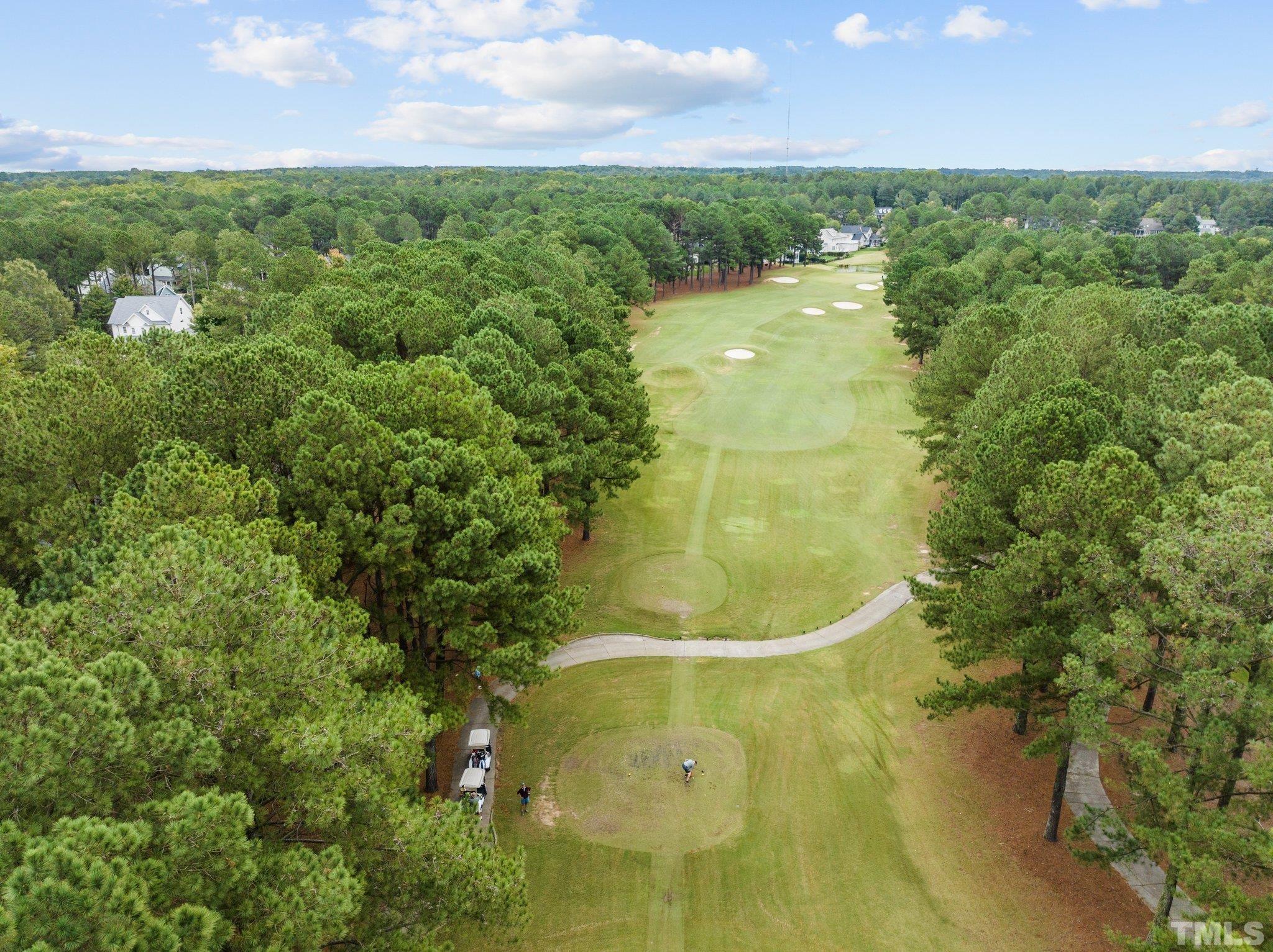 1209 Colonial Club Road Wake Forest, NC 27587 - Photo 27 of 28 a view of a garden