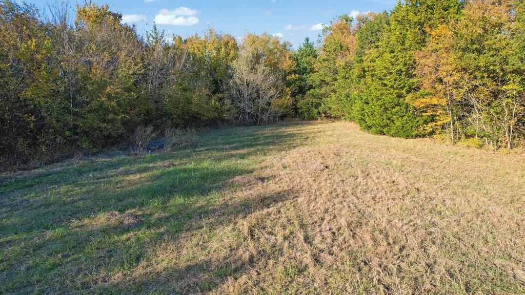 5329 Fm 121 Van Alstyne, TX 75495 - Photo 3 of 10