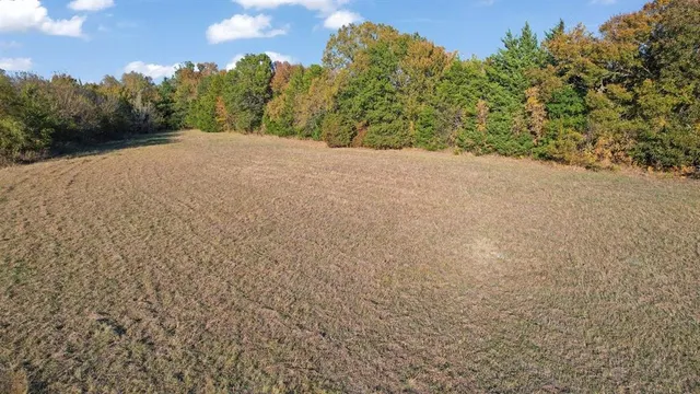 a view of a field with trees in the background