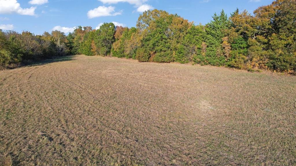 5329 Fm 121 Van Alstyne, TX 75495 - Photo 8 of 10